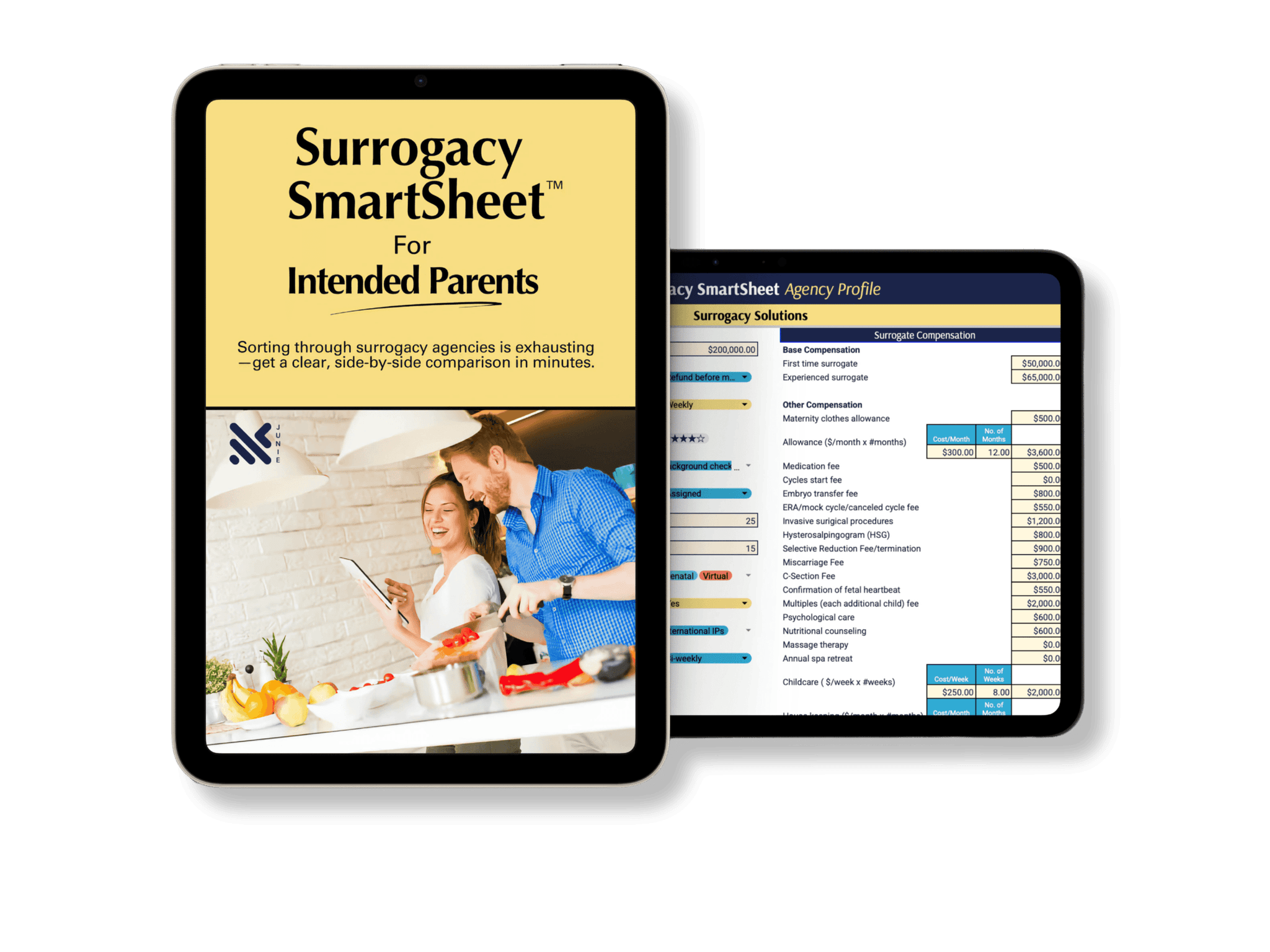 SmartSheet Preview